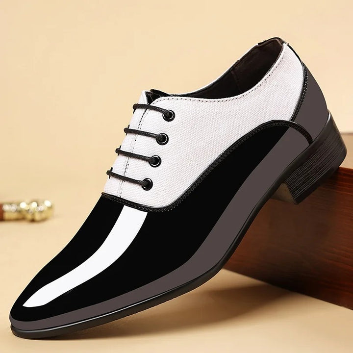 Maestro Pointed Oxfords